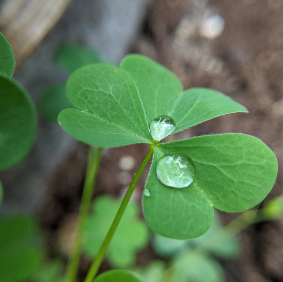 Meet your Posher, Alexis - Picture 1 of 16